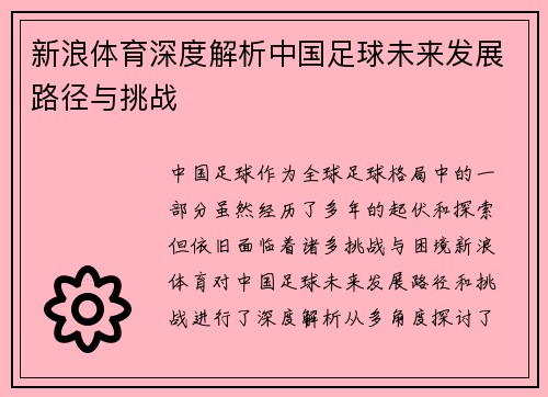 新浪体育深度解析中国足球未来发展路径与挑战